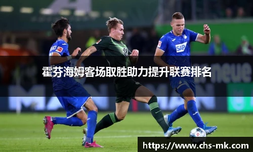 霍芬海姆客场取胜助力提升联赛排名