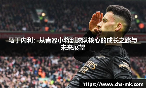 马丁内利：从青涩小将到球队核心的成长之路与未来展望