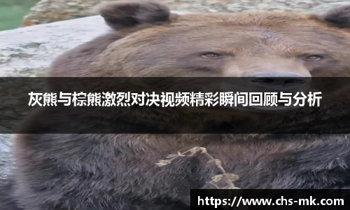 灰熊与棕熊激烈对决视频精彩瞬间回顾与分析